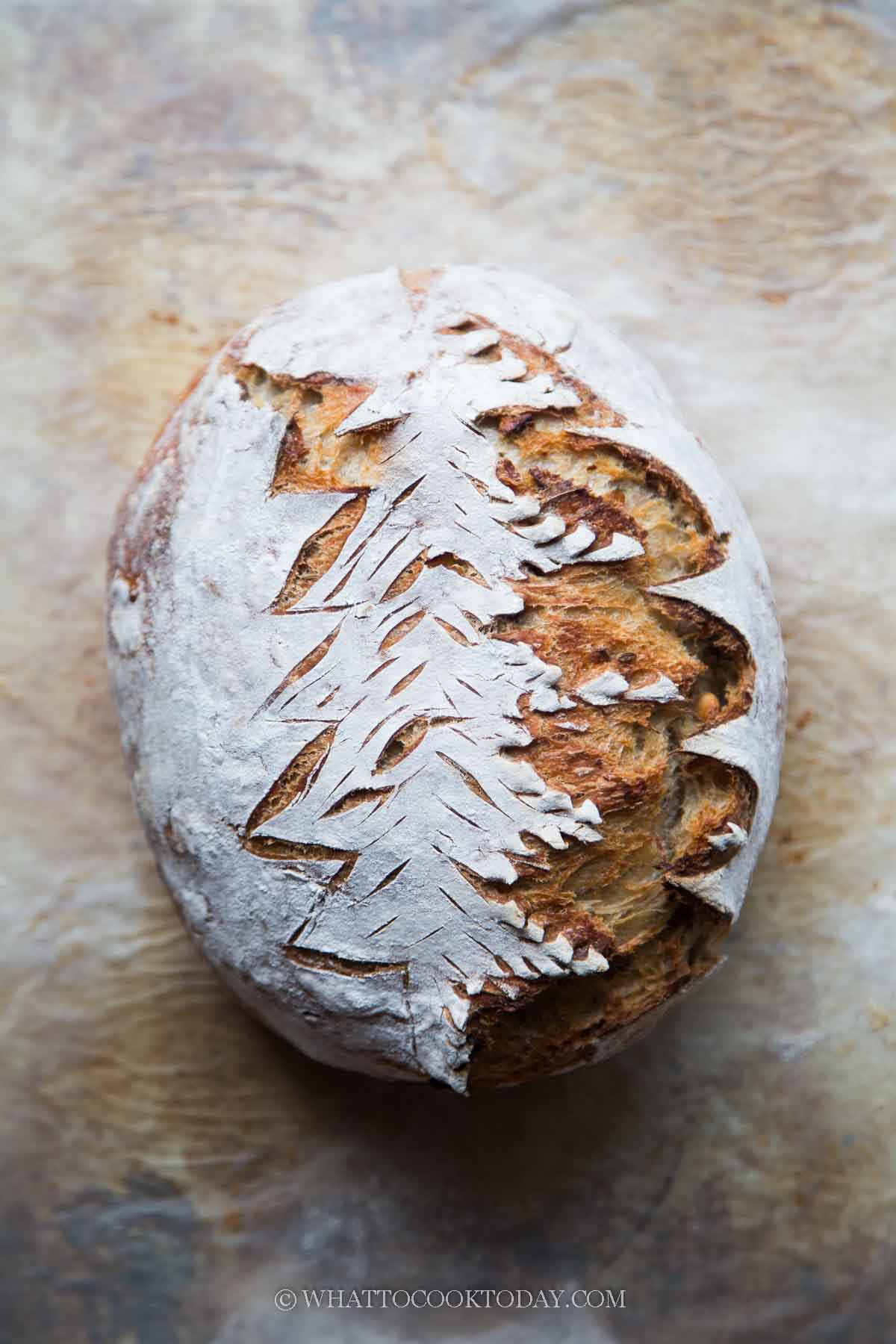 No-Knead Pistachio Caraway Seeds Sourdough Bread (Christmas Tree Scoring)