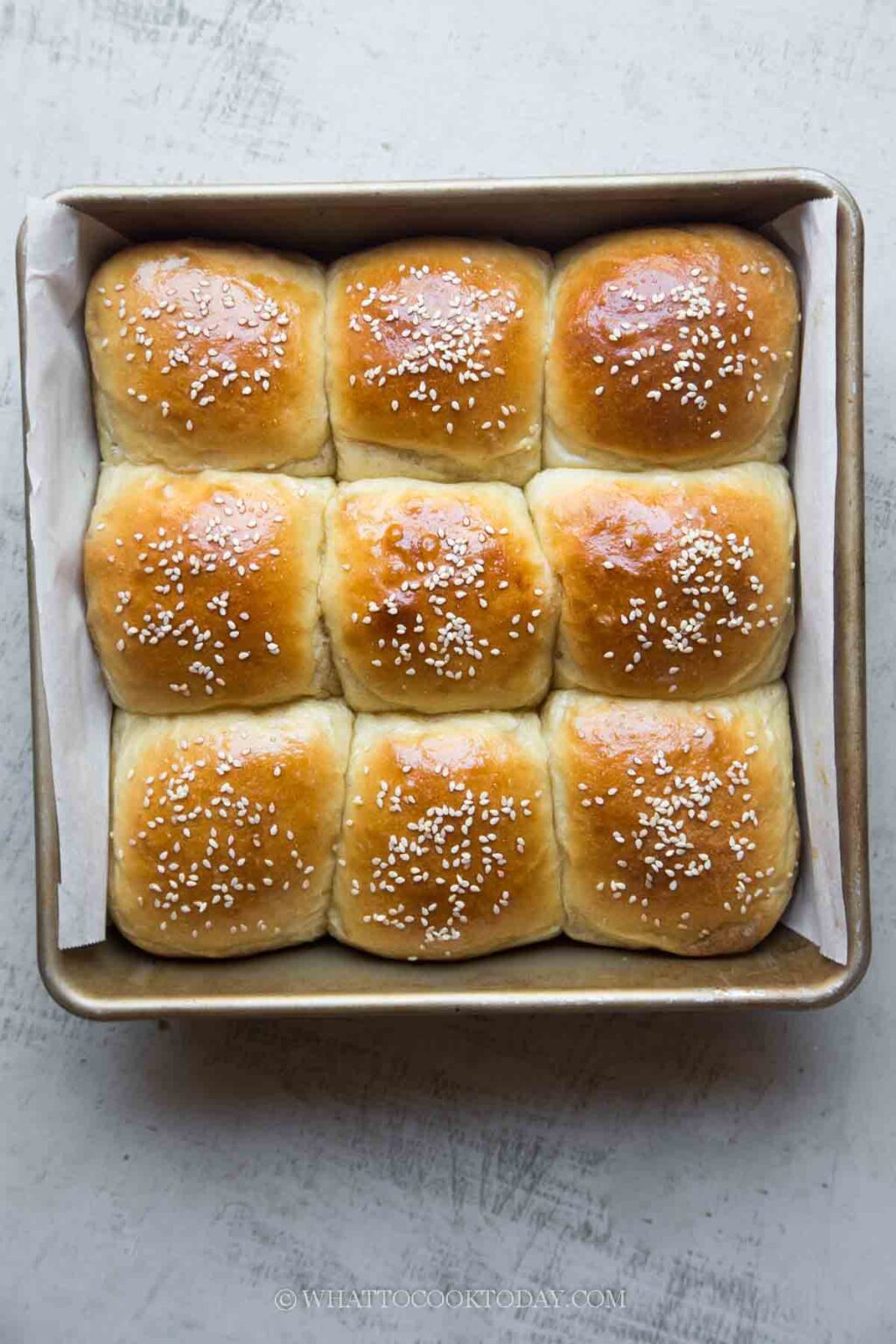 NoKnead Cottage Cheese Dinner Rolls