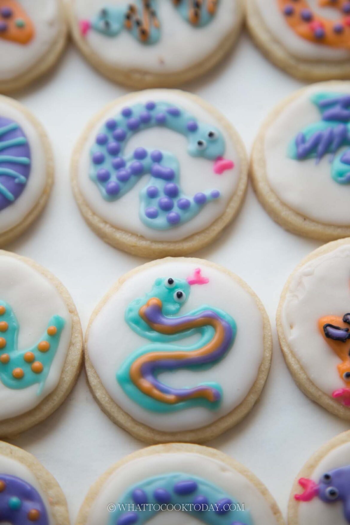Snaking Cookies Year of Snake Sugar Cookies