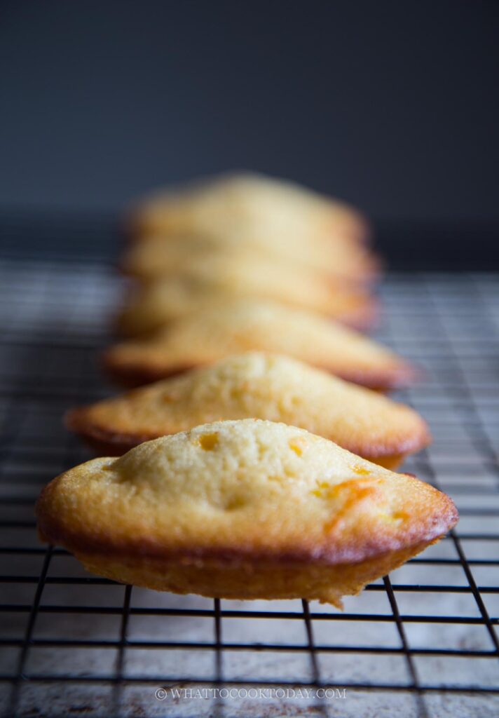 Sweet Corn and Cheese Madeleine