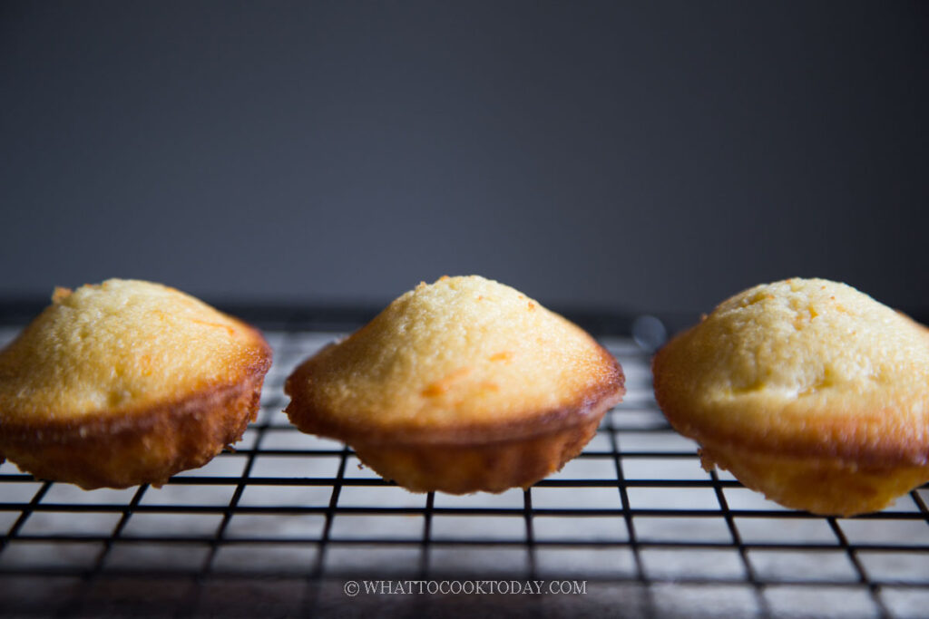 Sweet Corn and Cheese Madeleine