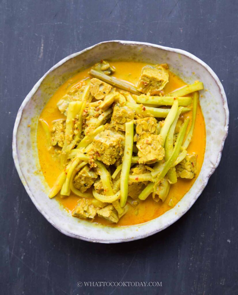 Indonesian Chayote and Tempeh Stew (Labu Tempe Lodeh)