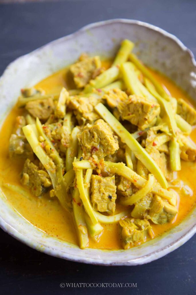 Indonesian Chayote and Tempeh Stew (Labu Tempe Lodeh)
