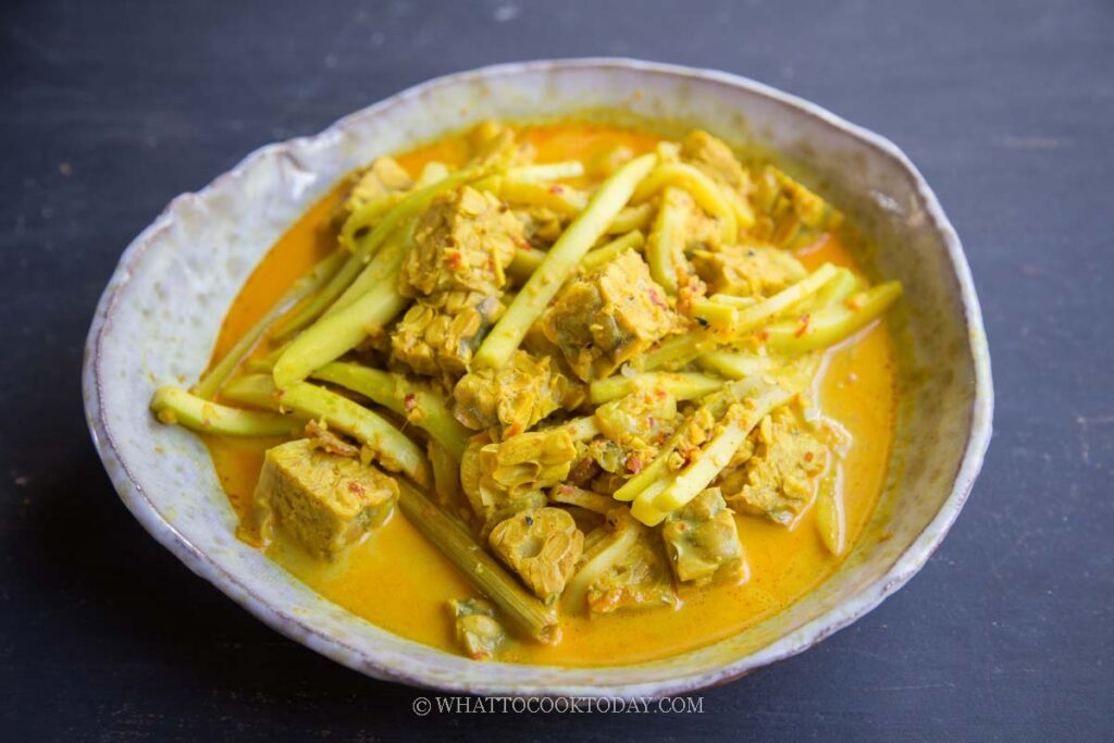 Indonesian Chayote and Tempeh Stew (Labu Tempe Lodeh)
