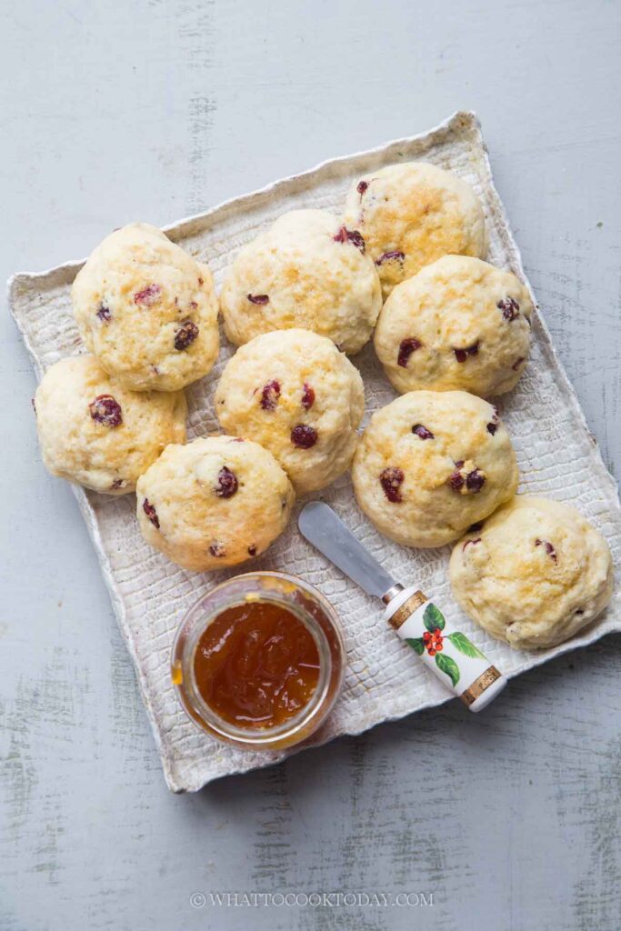 Orange Cranberry Bisconies