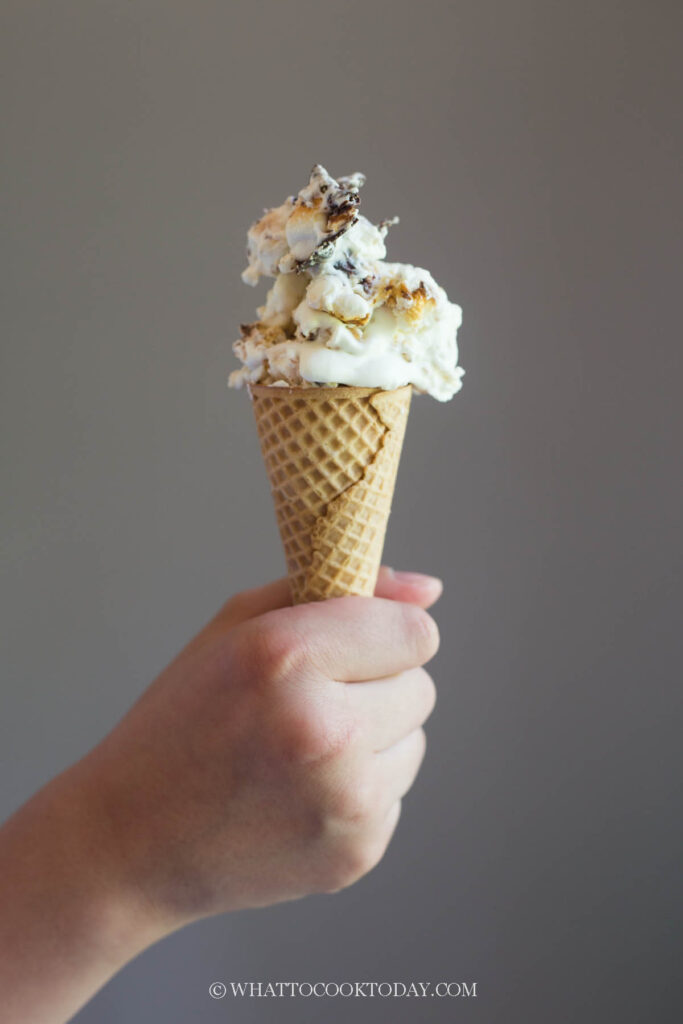 No-Churn S'mores Ice Cream